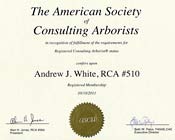 ASCA RCA Cert sm